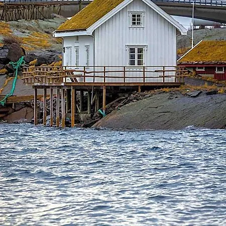 Toppøy Rorbuer Ferieparker Reine