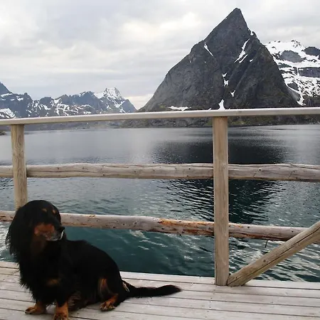 Vakantiepark Toppoy Rorbuer